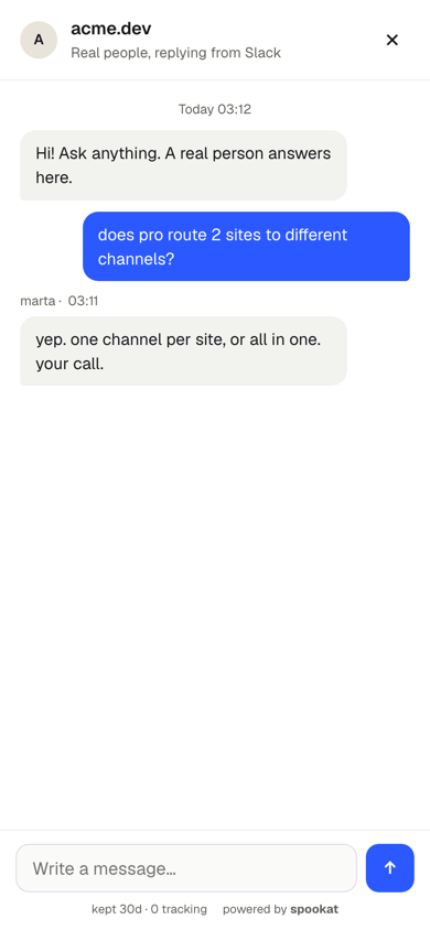 Styl clean na telefonie: biały panel, jasnoszare dymki, niebieska wiadomość odwiedzającego, okrągły przycisk wysyłania.